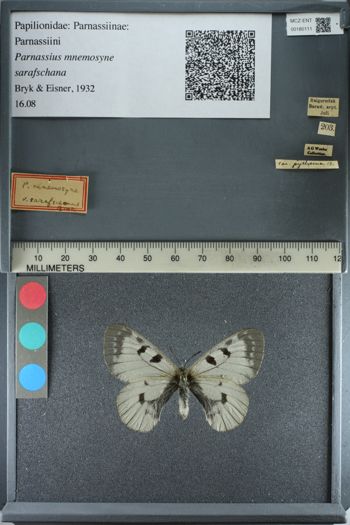 Media type: image;   Entomology 180111